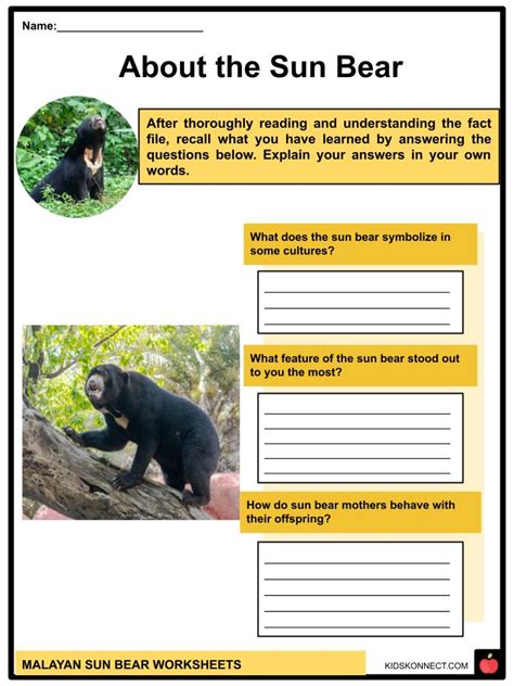 Malayan Sun Bear Worksheets | Size, Habitat, Conservation