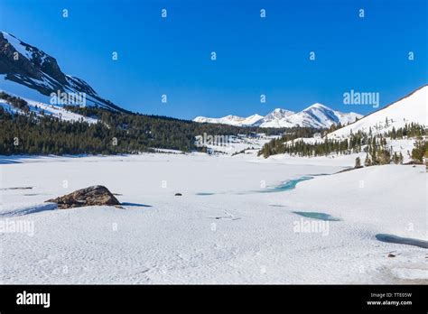 The Frozen Tioga Lake On Highway 120 The Tioga Pass In The Eastern