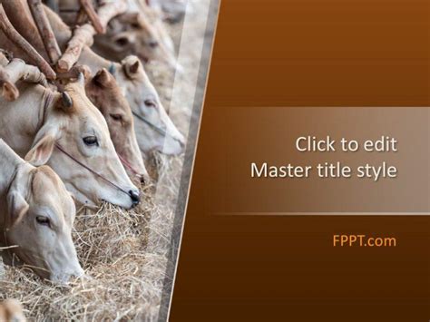 Free Animals Powerpoint Templates