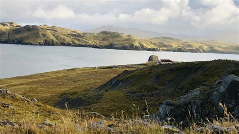 El Oro Pirata De La Isla De Adak Sinopsis Tr Iler Reparto Y Cr Tica