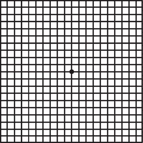 Freedom Scientific Vision Loss Facts Vision Amsler Grid