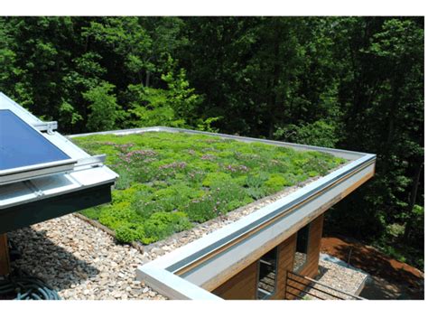 Private Chapel Hill, NC Residence - Greenroofs.com