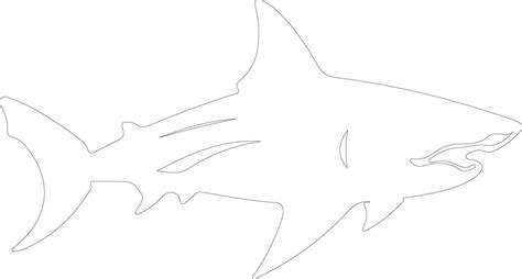 bullshark outline silhouette 38828711 Vector Art at Vecteezy