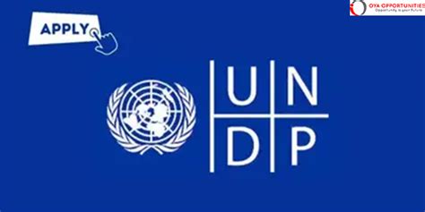 Undp Operations Analyst Paid Internship Apply Now Oya