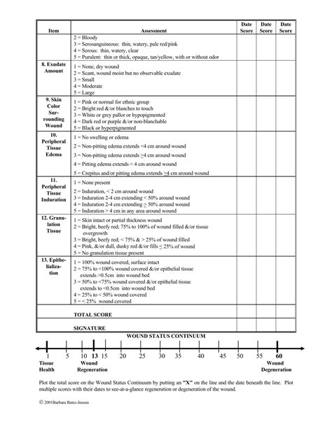 Bates Jensen Wound Assessment Tool Download Printable Pdf Templateroller