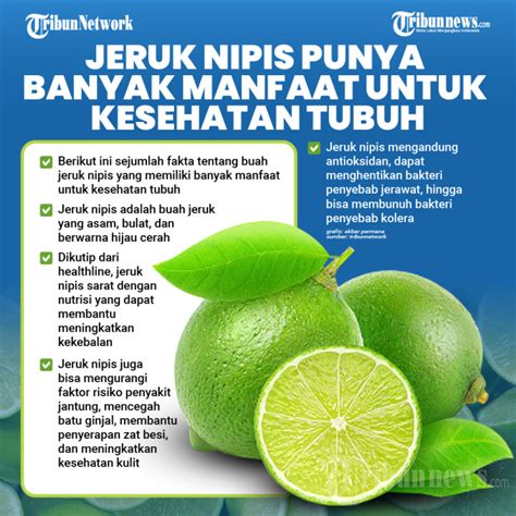 Jeruk Nipis Punya Banyak Manfaat Untuk Kesehatan Tubuh Foto