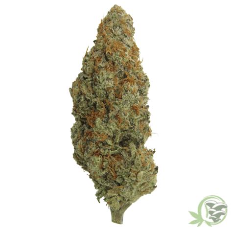 Buy Orange Kush Cake Balanced Hybrid Strain Sacredmeds