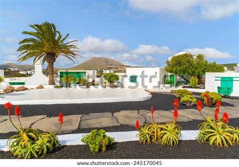 Typical Canarian Style Buildings Tropical Plants Stock Photo