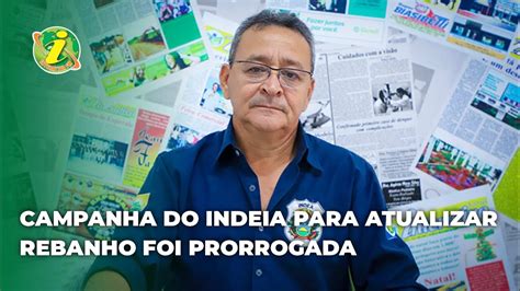 Campanha Do Indea Para Atualizar Rebanho Foi Prorrogada Youtube