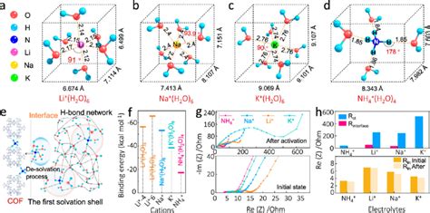 Solvation Behaviors Of Li Na K And Nh Ions Solvation