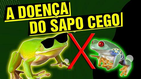 Doença Do Sapo Em Humanos Sintomas BRAINCP