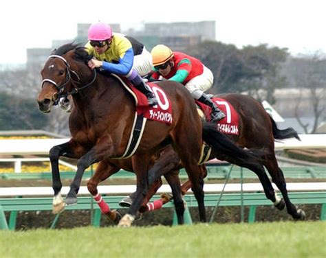 【毎日ベスト3】弥生賞ディープインパクト記念のガチガチ配当ベスト3 毎日ベスト3 競馬コラム 日刊スポーツ