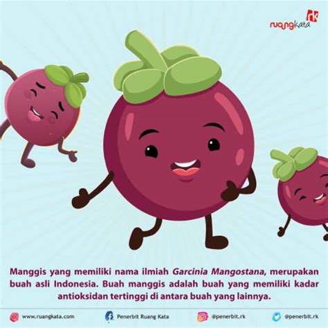 Gambar Buah Gambar Animasi Buah Manggis 56 Koleksi Gambar