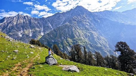 Discover the Splendor of Dharamsala's Snowline Trek