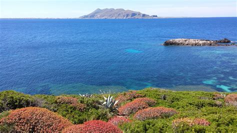 Itinerari Subacquei Favignana Levanzo Marettimo Isole Egadi