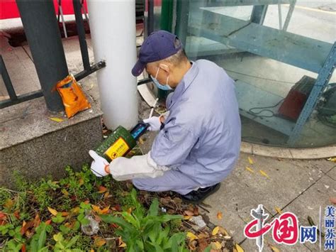 蘇州工業園區金雞湖街道：吹起“愛衛”風 共建綠色家園 社會民生 中國網•東海資訊