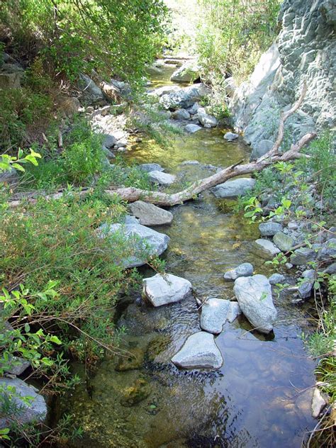 Trails of the Angeles: Fish Cyn - 80 Foot Waterfall - in Azusa