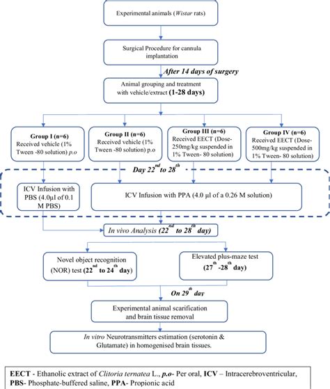 Schematic Diagram Of The Experimental Design Download Scientific Diagram