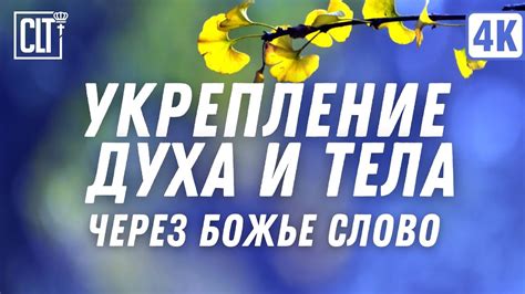Укрепление духа и тела | Покой | Исцеление | Relaxing - YouTube