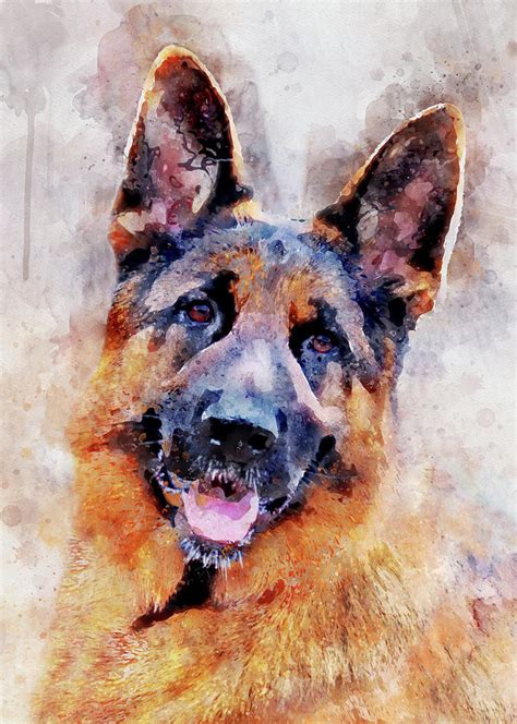 German Shepherd Dog Watercolor Portrait 01 Painting By Stockphotosart