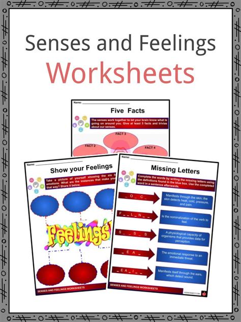 Senses and Feelings Facts, Worksheets & Description For Kids