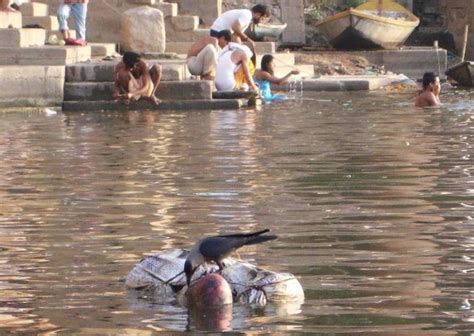 Pollution of the Ganges (20 pics)