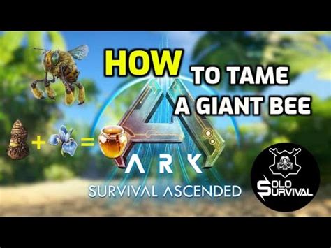 How To Tame A Giant Bee Ark Survival Ascended The Island YouTube