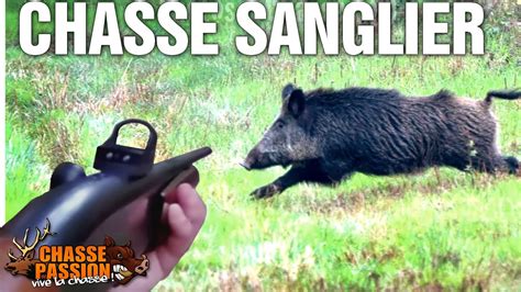 Chasse Passion La Chasse Du Sanglier Youtube