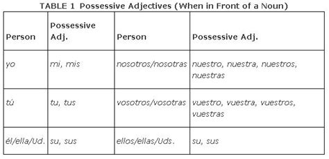 Possessive Adjectives Diagram Quizlet