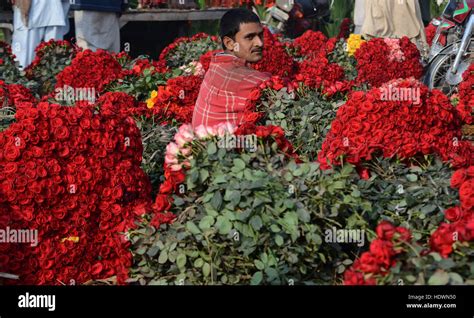 Lahore Punjab Pakistan 14th Dec 2016 Pakistani Flower Wholesalers