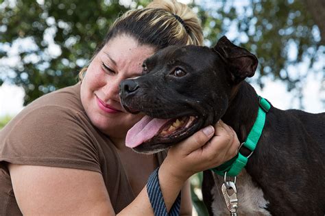 Houston Pet Shelter Reunites Animals And Owners Separated By Harvey