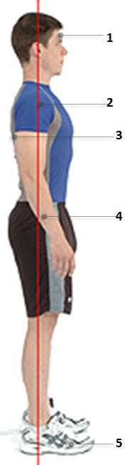 Perfect Your Posture → How To Have Good Standing And Seated Posture