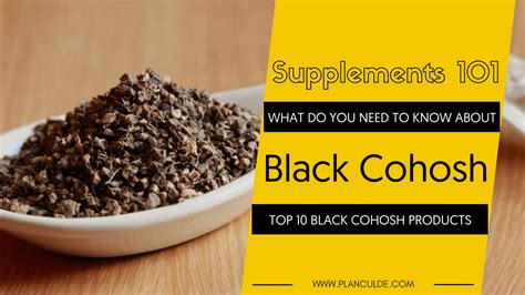 Best 10 Black Cohosh Supplements Reviewed