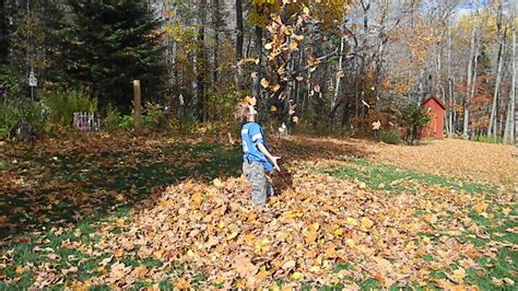 FALL FUN-Take Time to Jump in a Pile of Leaves! - JOYFUL DAISY