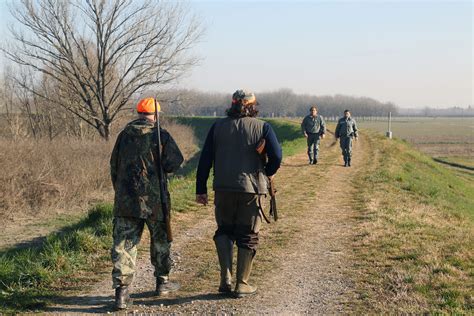 Provincia Di Modena Caccia Domenica 1 Ottobre Lapertura Della