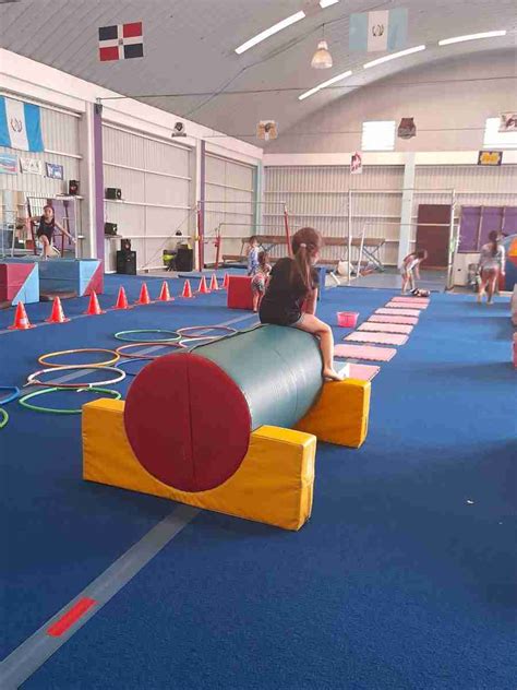 Beneficios de la Actividad Física El Blog de Sankris Gymnastics Art Studio