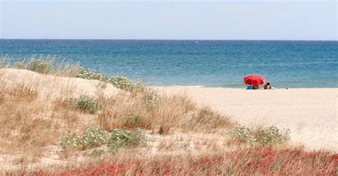 D Couvrir Canet En Roussillon Et Ses Environs H Tel Les Flamants Roses