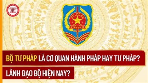 Bộ Tư Pháp Là Cơ Quan Hành Pháp Hay Tư Pháp Lãnh Đạo Bộ Hiện Nay