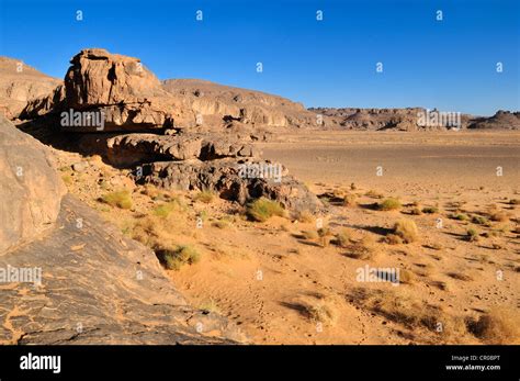 Sandstone rock formation and Oeud, Wadi on Tasset Plateau, Tassili n ...