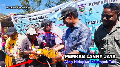 Inilah Alasan Pemkab Lanny Jaya Hidupkan Kembali Kelompok Tani Youtube