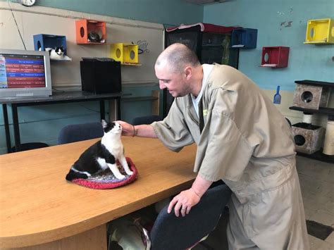 Inmates Find Hope Caring For Shelter Cats In Correctional Facility