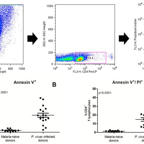 Flow Cytometric Analysis Of Apoptosis Representative Example Of Gating