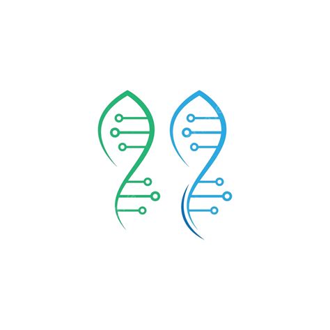 Dna Genetic Sign Logo Icon Design Vector Chromosome Life Spiral Vector