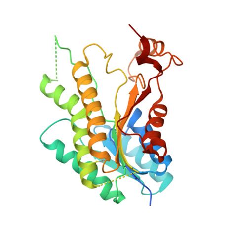 Rcsb Pdb Jq Crystal Structure Of Pteridine Reductase Ptr From