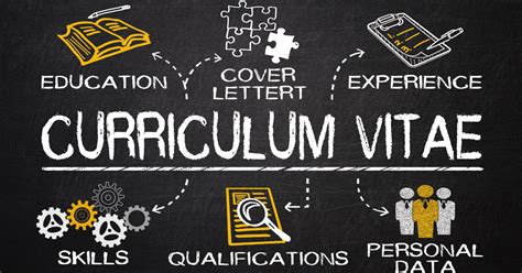 CV Nedir CV Nasıl Oluşturulur Blog MieS