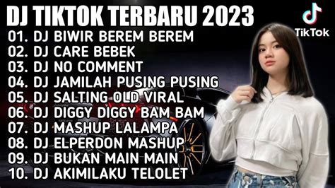 Dj Tiktok Terbaru Dj Biwir Berem Berem X Dj Care Bebek Remix