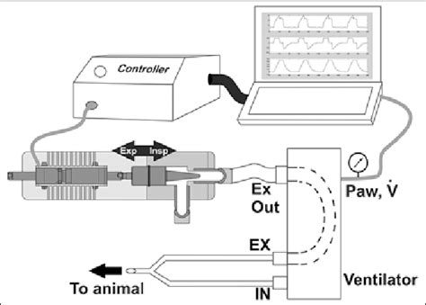 Schematic Of Setup For Mechanical Ventilation With Flow Controlled