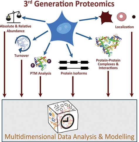 An Overview Of Third Generation Proteomics Applied To Cell Biology