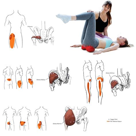 LittleMum Back Trigger Points Massage, Gluteus & Piriformis Myofascial