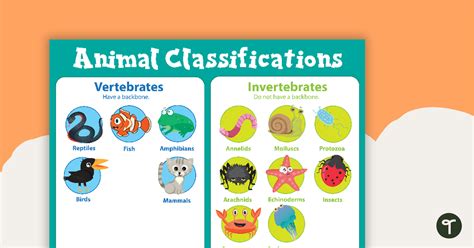 Vertebrates and Invertebrates Animal Classification Poster | Teach Starter